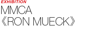 ART COUNSULTING - MMCA 《RON MUECK》